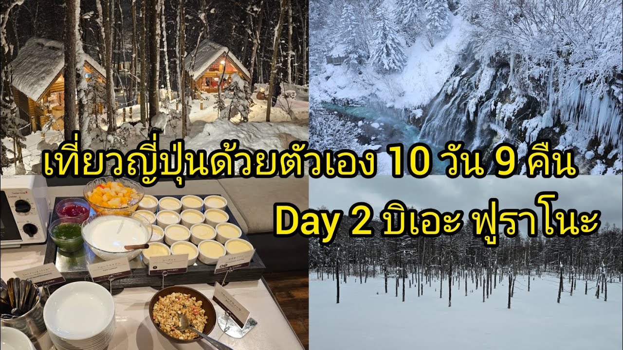 เที่ยวญี่ปุ่นด้วยตัวเอง 10 วัน 9 คืน Day 2 บิเอะ ฟูราโนะ