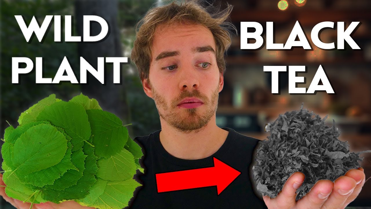 Making Black Tea (without a tea plant)