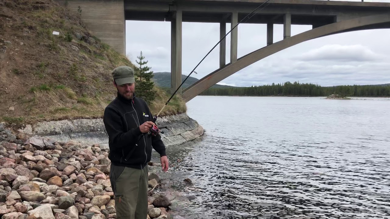 Robin drillar en öring på 5,5kg och 76cm