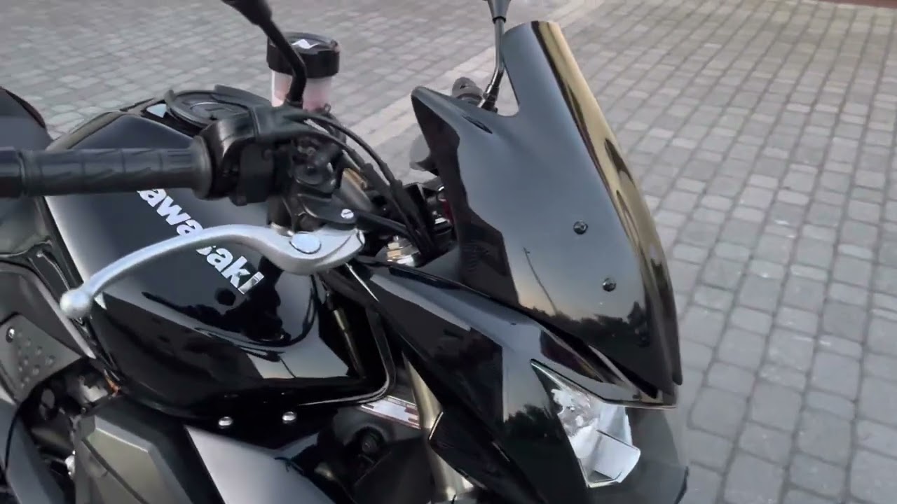 KAWASAKI Z1000 2009 GPR