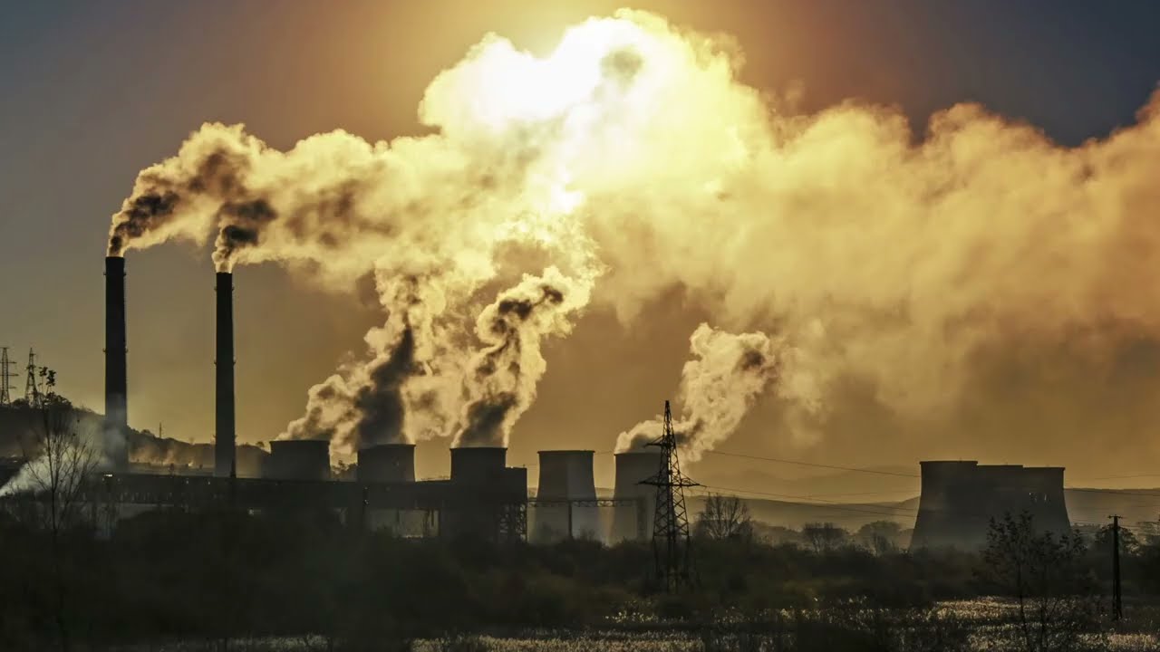 World Environment Day Documentary