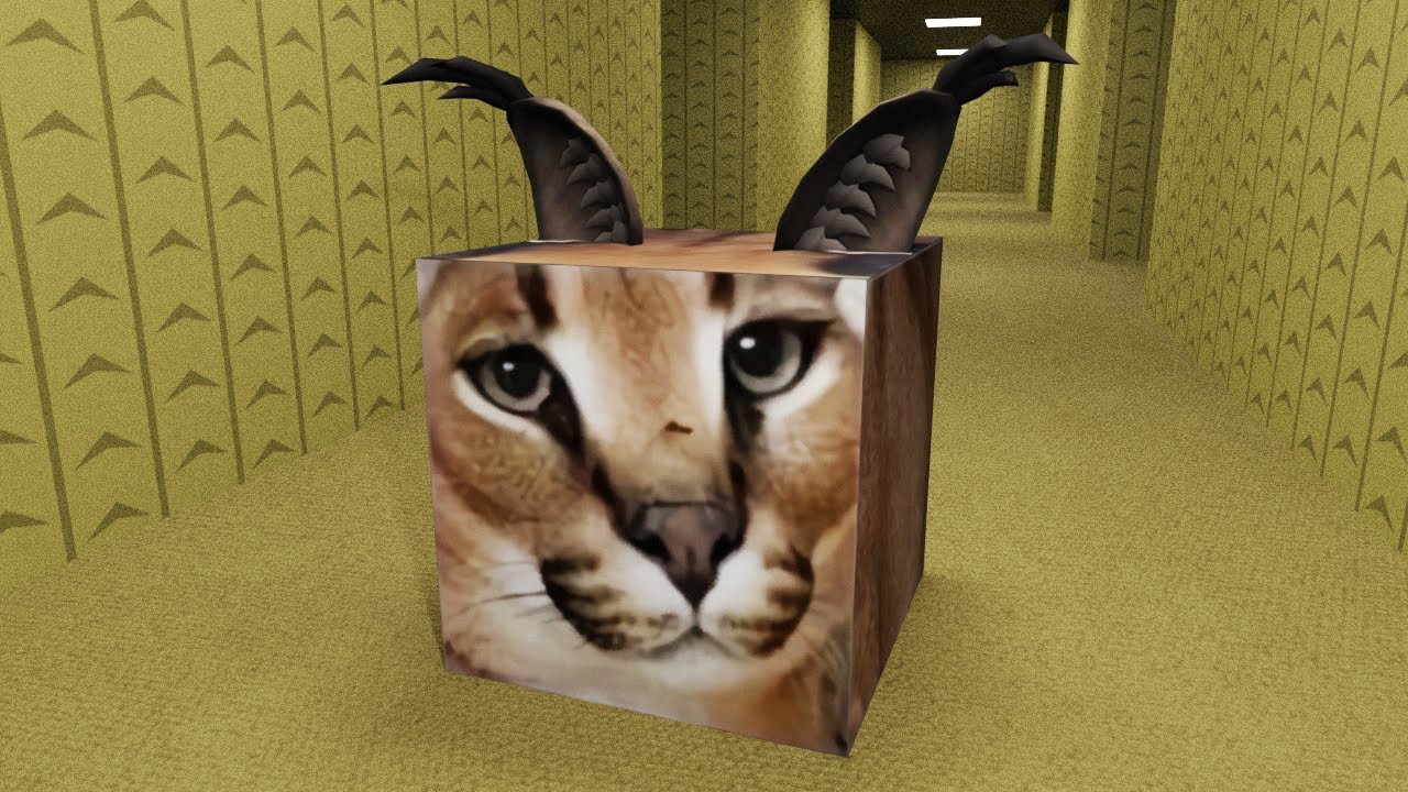 Return of F L O P P A