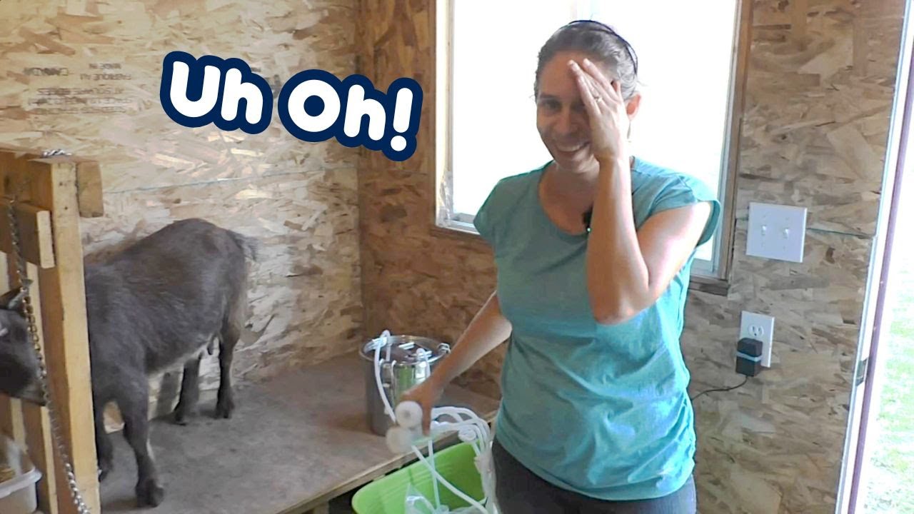 He's Relentless!! / Hantop Milking Machine Review