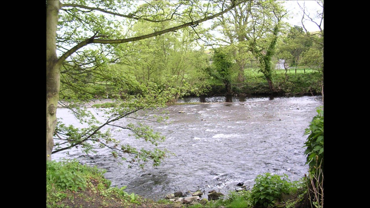 Waterviews