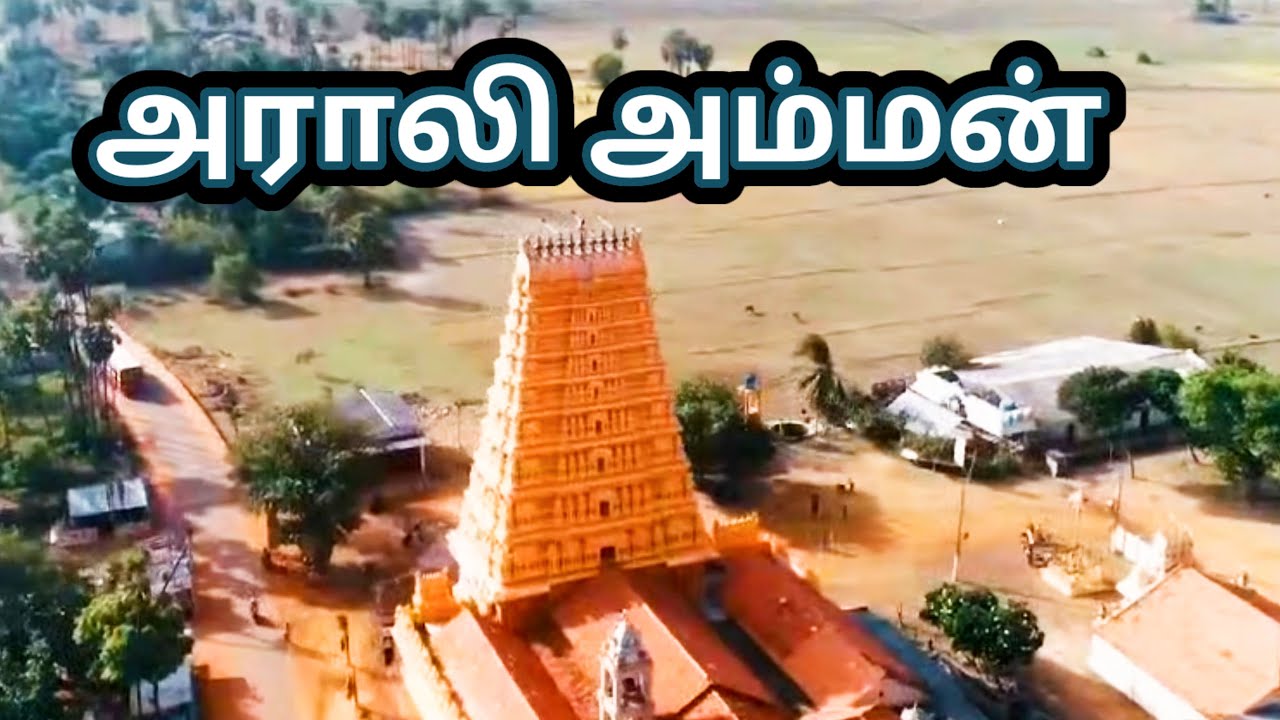 யாழ்ப்பாணம் அராலி ஆவரம்பிட்டி அம்மன் காேவில் Araly aavarampiddy amman  kovil