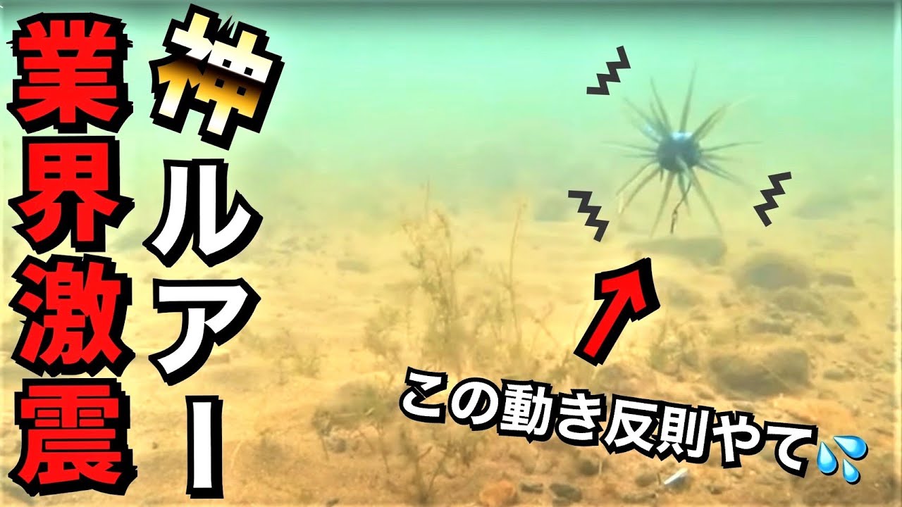 【バス釣り】コイケフルキャスト水中動画！！あのリグまじヤバイ。。完全レビュー！ハイドアップスタッフ