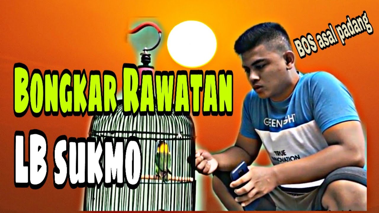 JEMUR SAUNA BIKIN LB TAMBAH FIGHTER