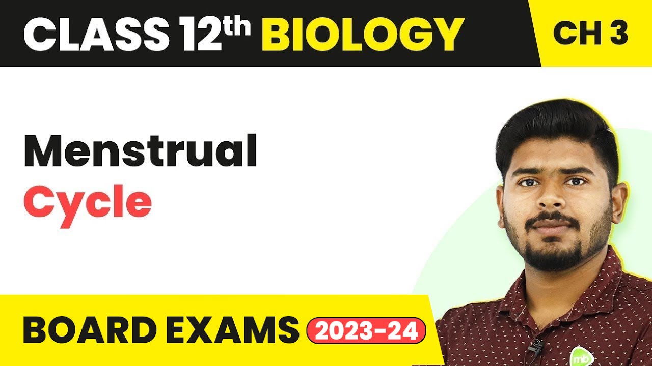 Menstrual Cycle - Human Reproduction | Class 12 Biology (2022-23)
