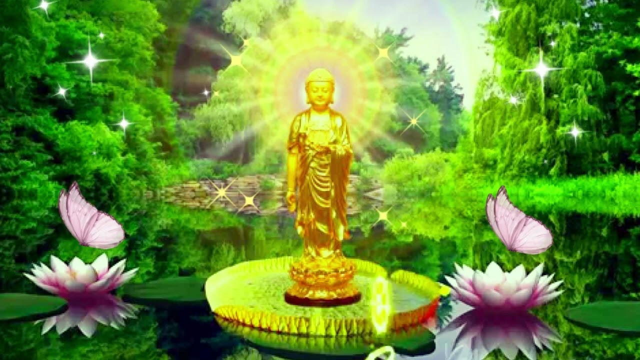 Nhạc Nhiệm Phật Hay Nhất - Nam Mô A Di Đà Phật Nghe 5 Phút Mỗi Ngày Căn Lành Tăng Trưởng.