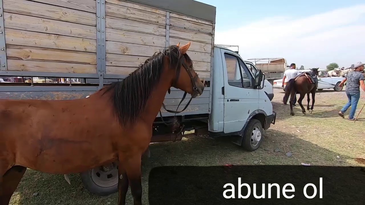 Berde at bazarı 2020