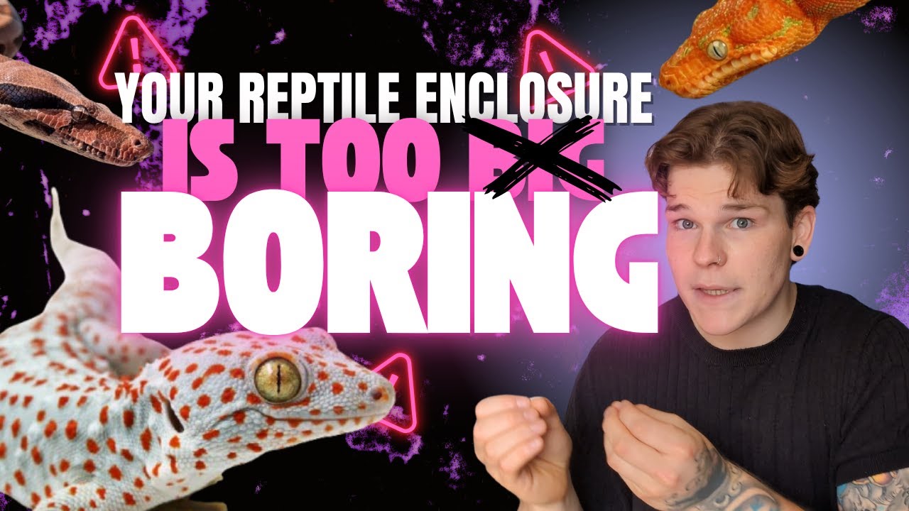 NO! Your Pet Reptile Enclosure IS NOT 