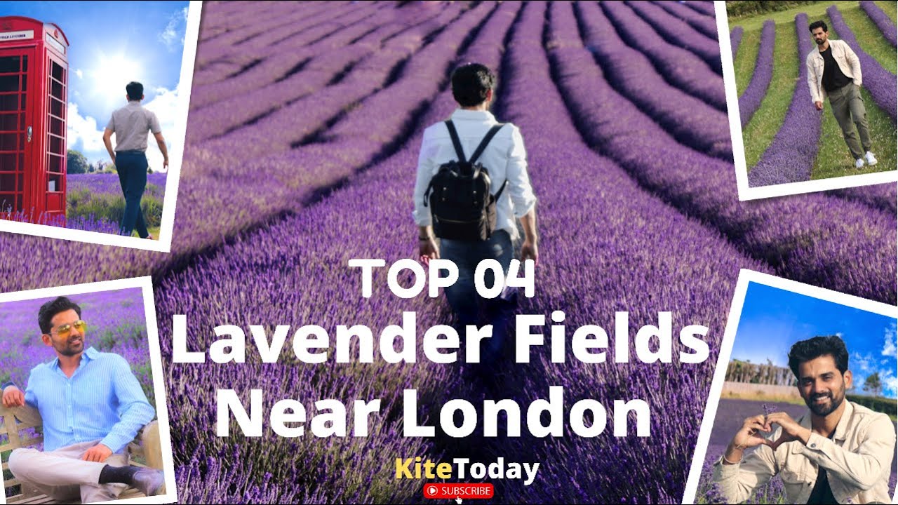 The Prettiest Lavender Fields Near London 💜🇬🇧