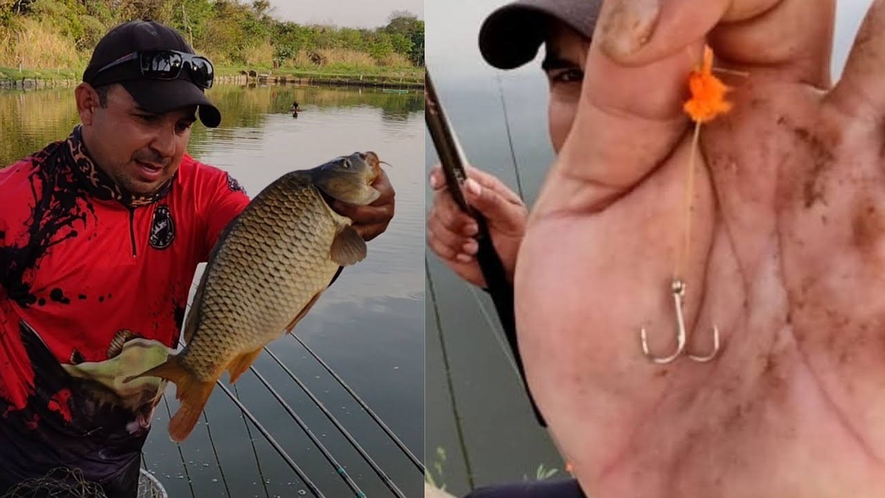 Sistema INFALÍVEL pra pescar Tilápia na MASSINHA