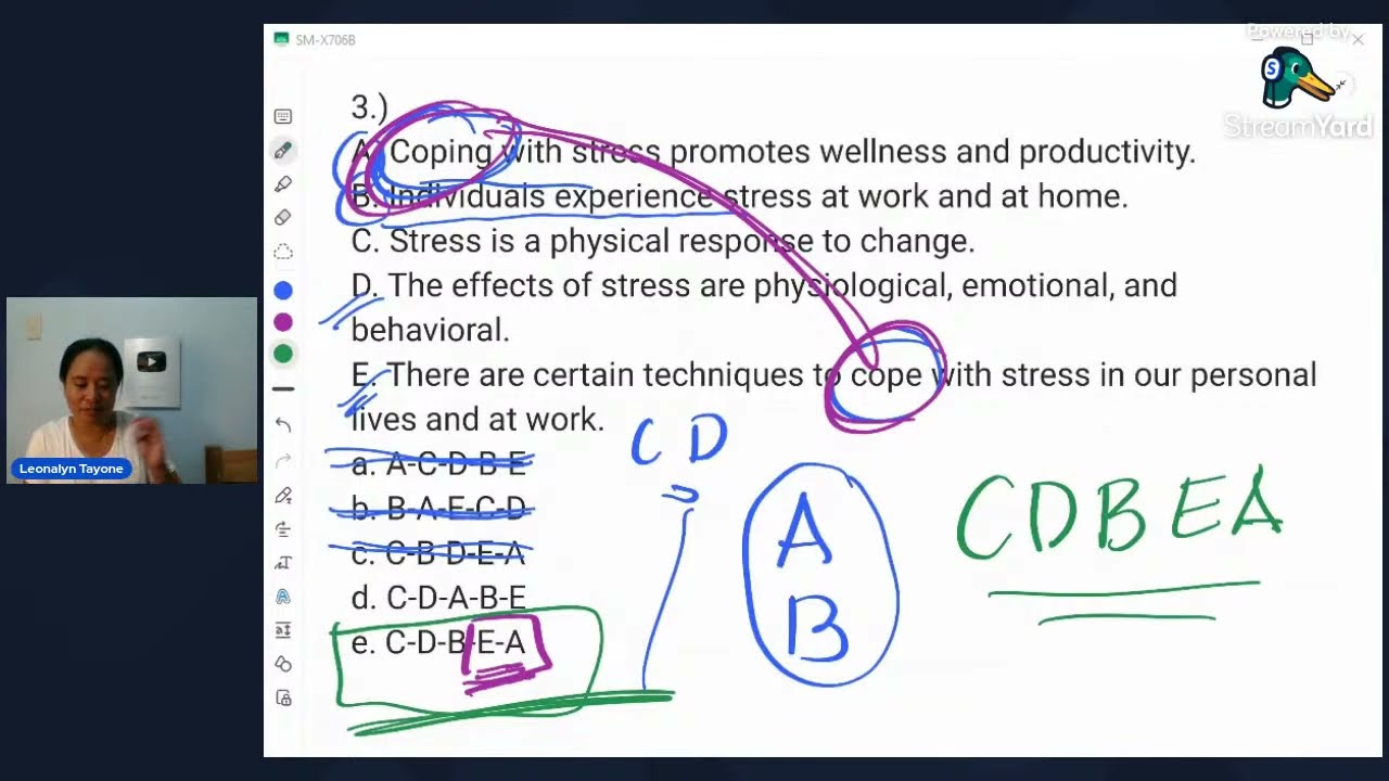 Paragraph Organization