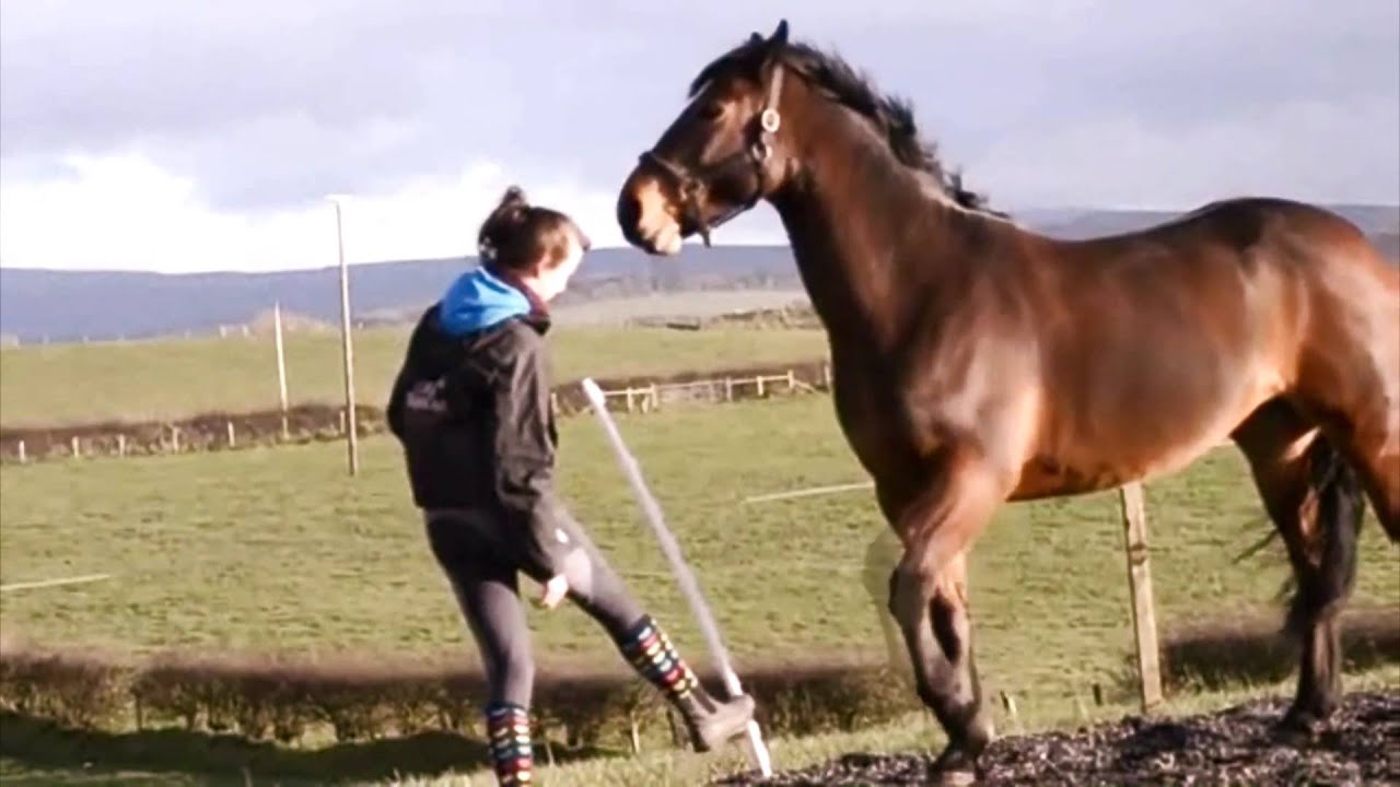 A Step Away From Riding.