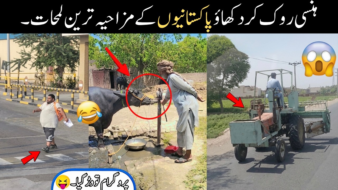 MOST FUNNY MOMENTS OF PAKISTANI | EP 256 😂🤣 PEOPLE | Pakistani Funny Video