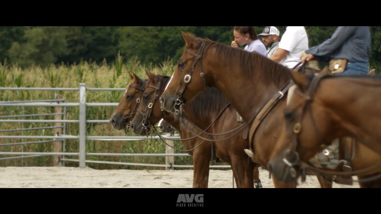 CLINIC COW HORSE ROGGIA RANCH