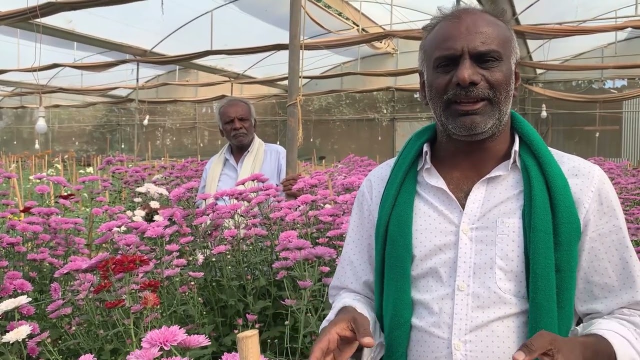 Farmer's Story - Chokkasandra - Gopal Reddy | Peripheral Ring Road | Bangalore Business Corridor