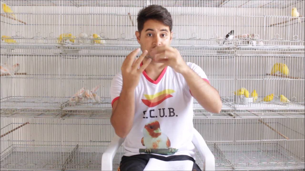 GRIT MINERAL PARA CANÁRIOS!