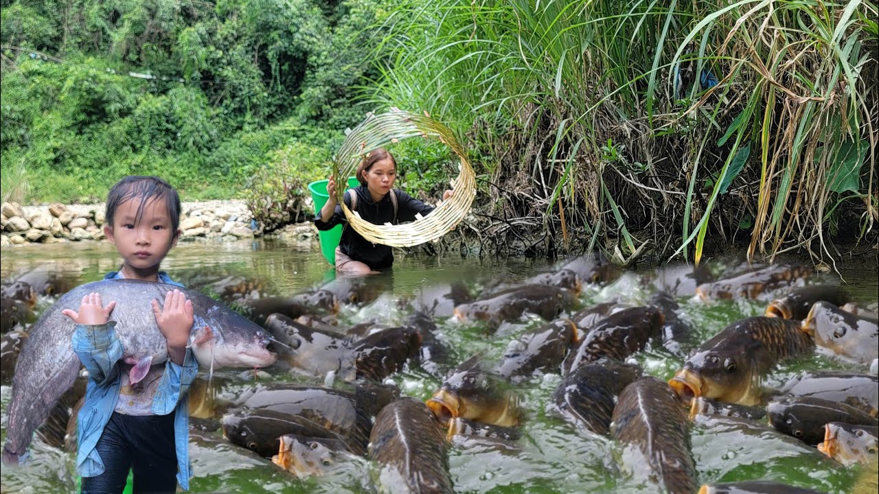 Full video: 30 days with a daughter hunting wild fish in mysterious streams. Lots of giant fish