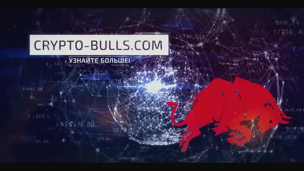 Crypto Bulls Презентация (RUS)
