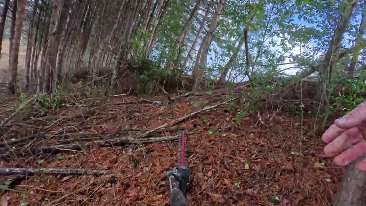 POV clearing brush and undergroth from softball feild   Milstead Baptist Church   Camera on Tool