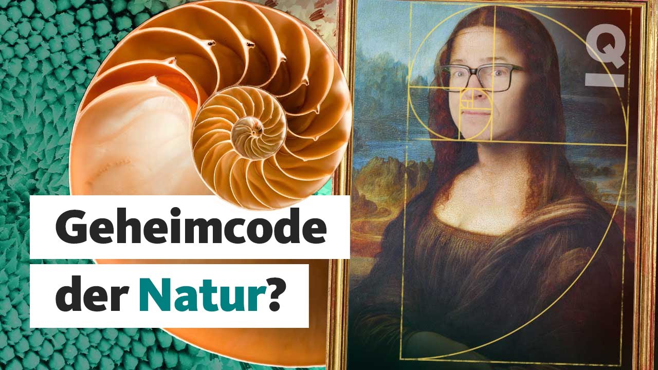 Kann die Natur Mathe? | Quarks Dimension Ralph