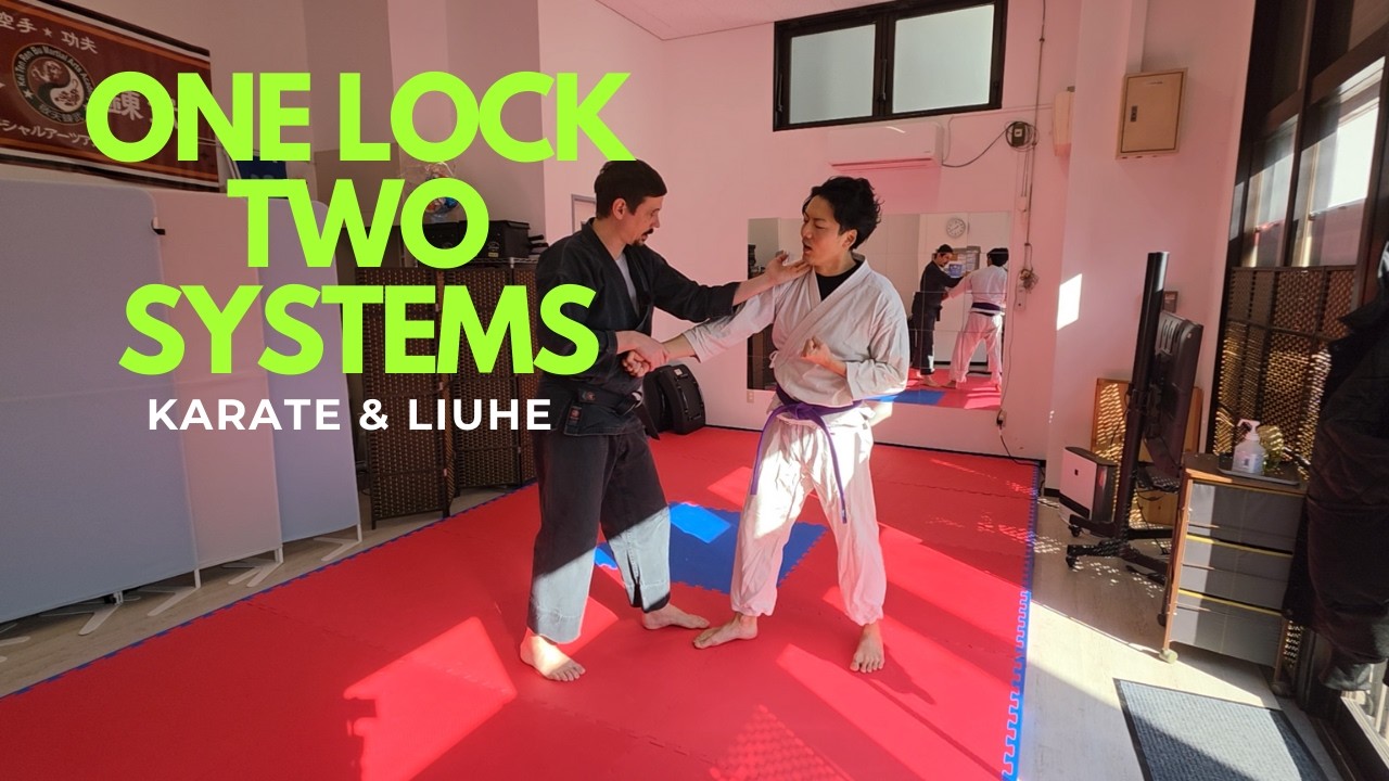 Pinan Shodan Liuhe arm lock