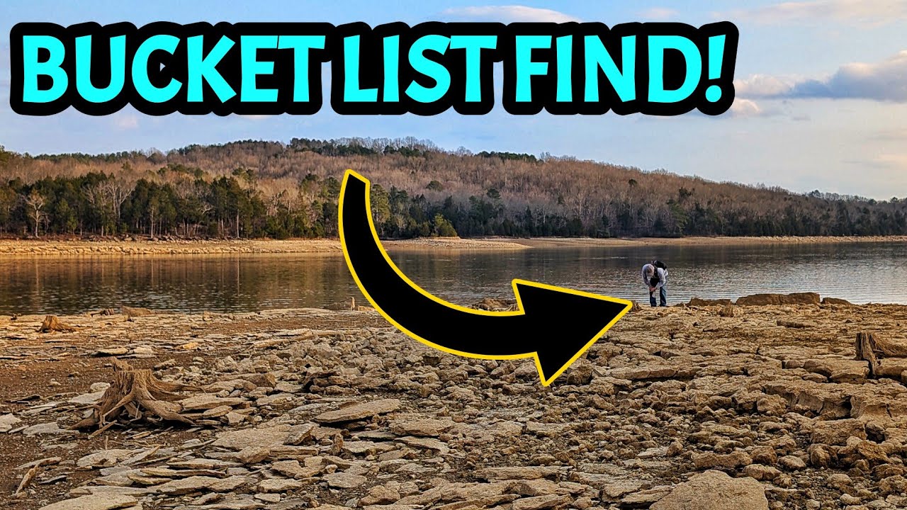 I Can't Believe I Found One! This Alabama Lakeshore is LOADED with BIZARRE Fossils!