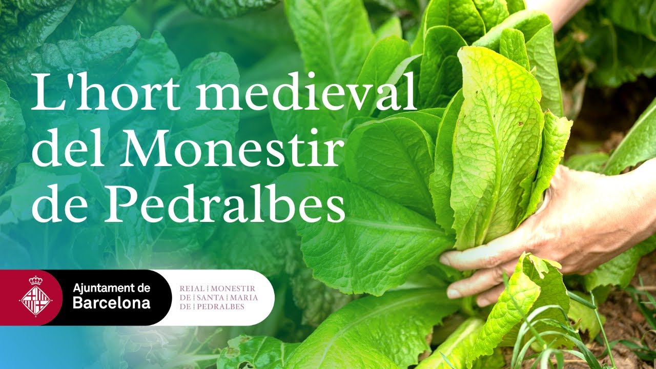 L'Hort Medieval del Monestir de Pedralbes de Barcelona