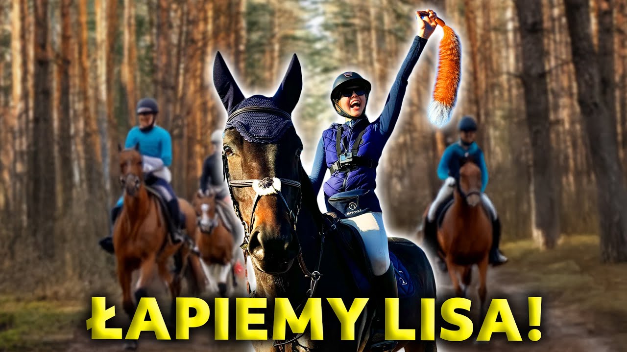 PIERWSZY HUBERTUS Z QUEVEDO! 🦊| CO JE M&Oacute;J KOŃ NA CO DZIEŃ? 🐴🥗