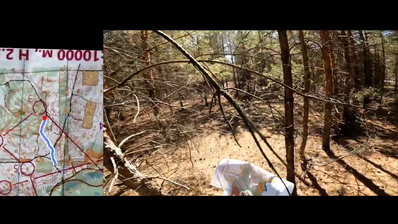 Orienteering 