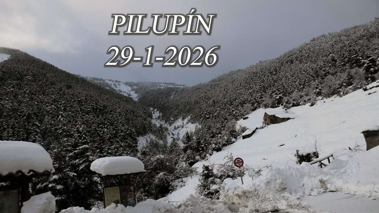 PILUPÍN 29 1 2026