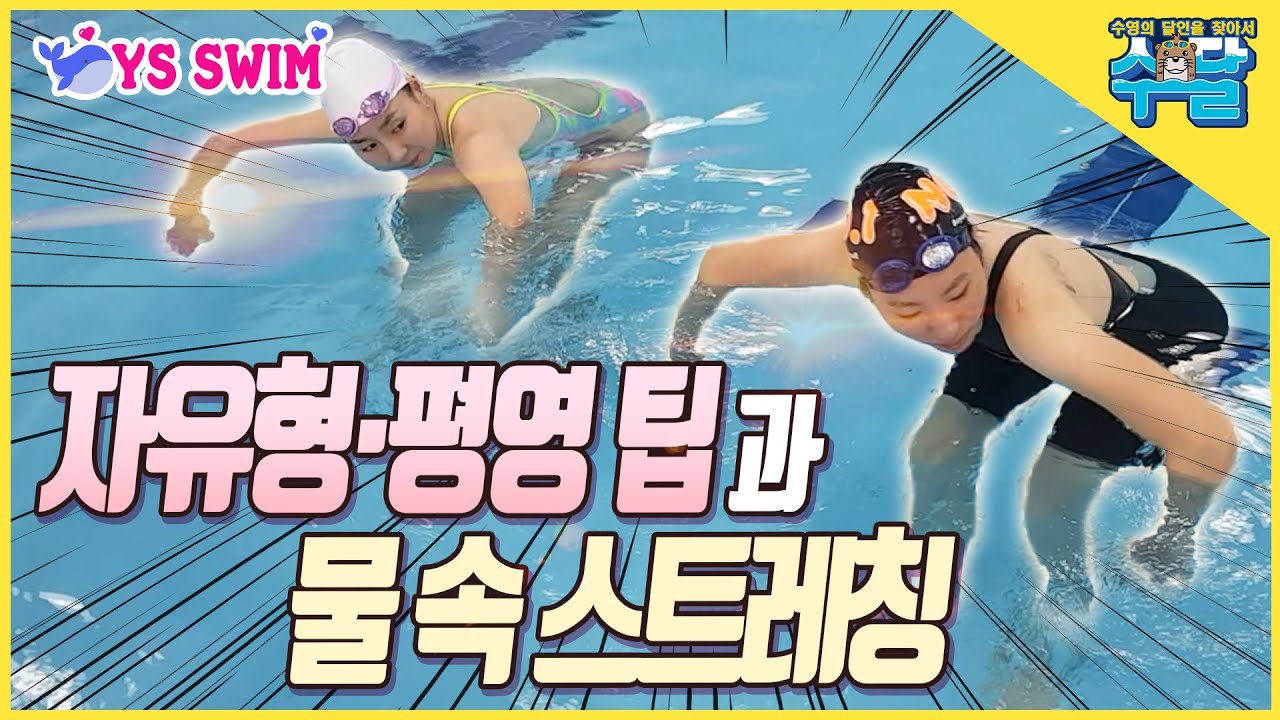 수영 ) 자유형 평영 팁과 물속 스트레칭  ■ 전 수영 국가대표 정은나 마지막화 -수영의 달인을 찾아서 34화-