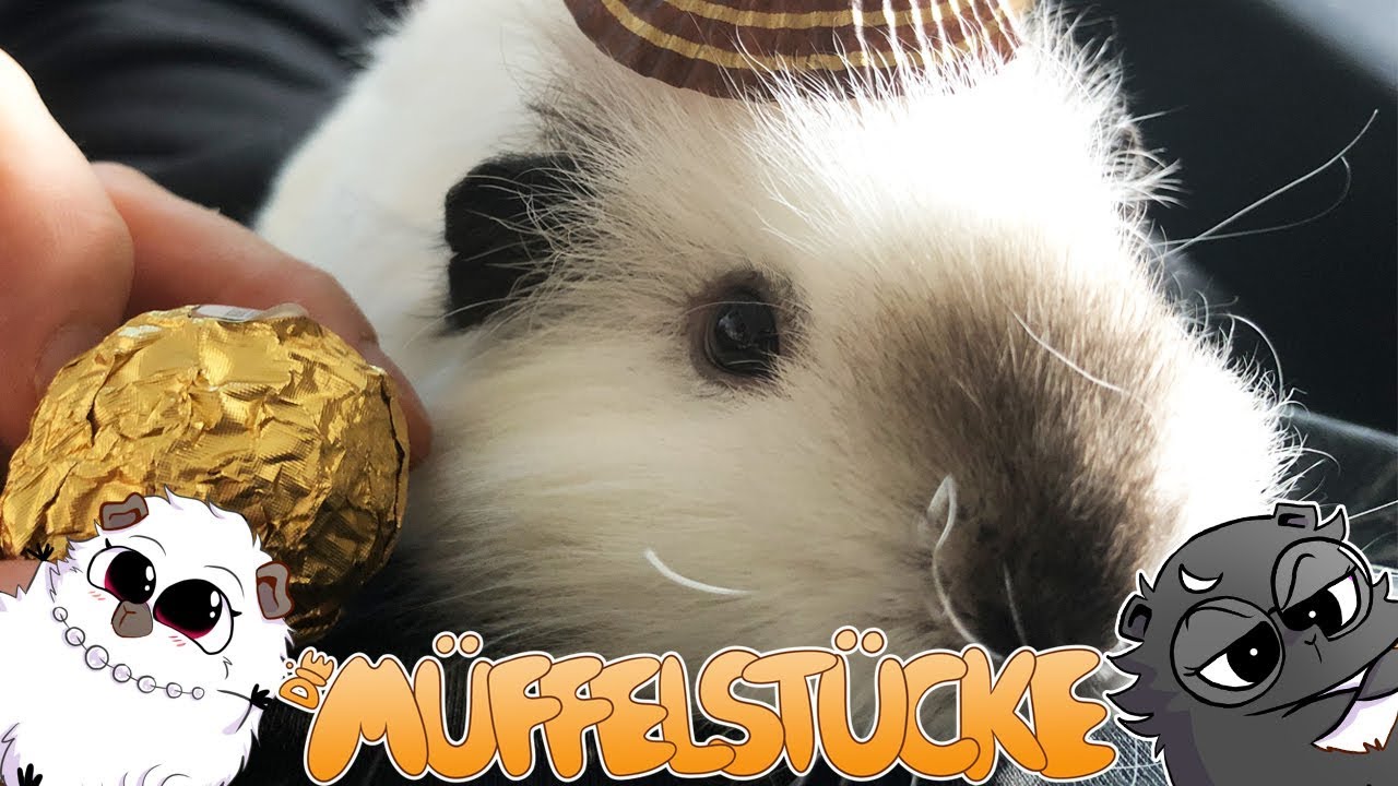 Woher haben wir diese Dinger? | Die Müffelstücke