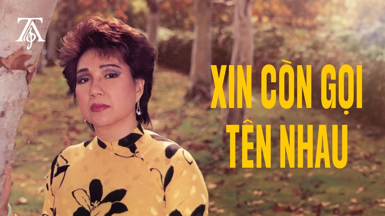 Xin Còn Gọi Tên Nhau (Album 1985) | Lệ Thu, Khánh Ly, Hương Lan, Duy Quang... | Tình Ca Nhạc Vàng