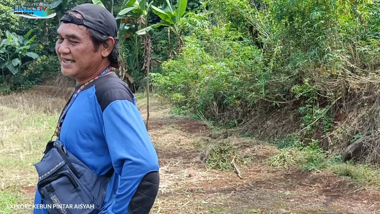 Explore KEBUN PINTAR AISYAH
