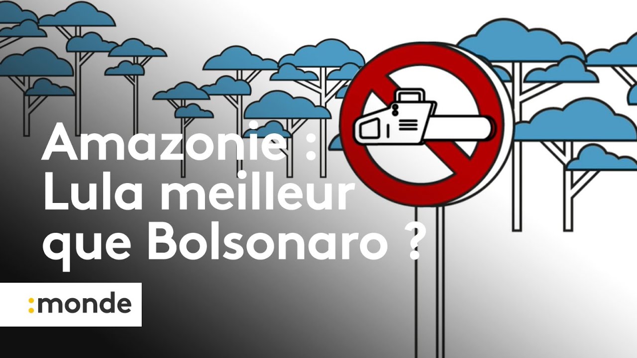Le président Lula face à la déforestation de l'Amazonie