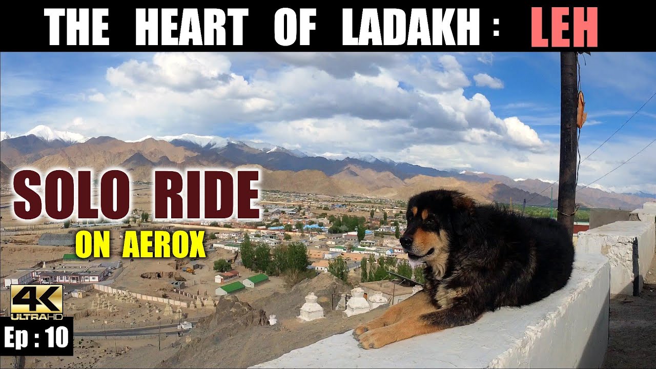 1️⃣0️⃣ : Leh city tour | Kolkata to Ladakh Ride | Magnetic Hill, Shanti Stupa, Indus Zanskar Sangam