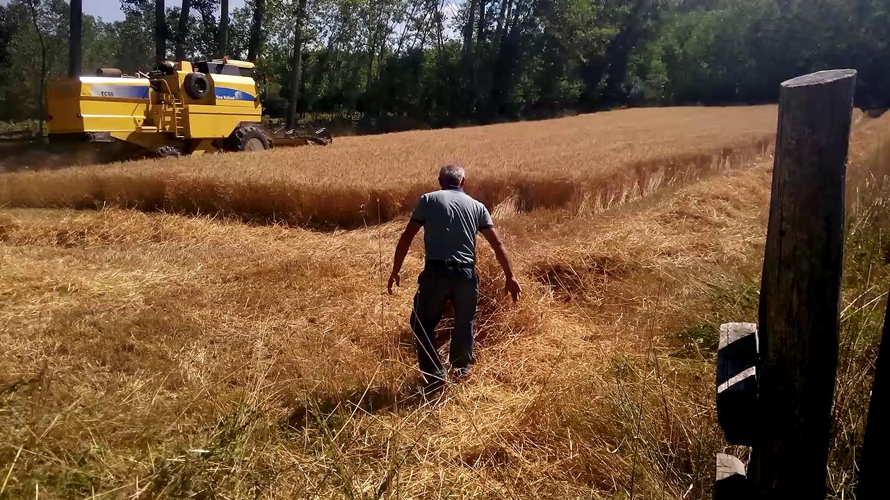 TC 56  Kastamonu Sezonu