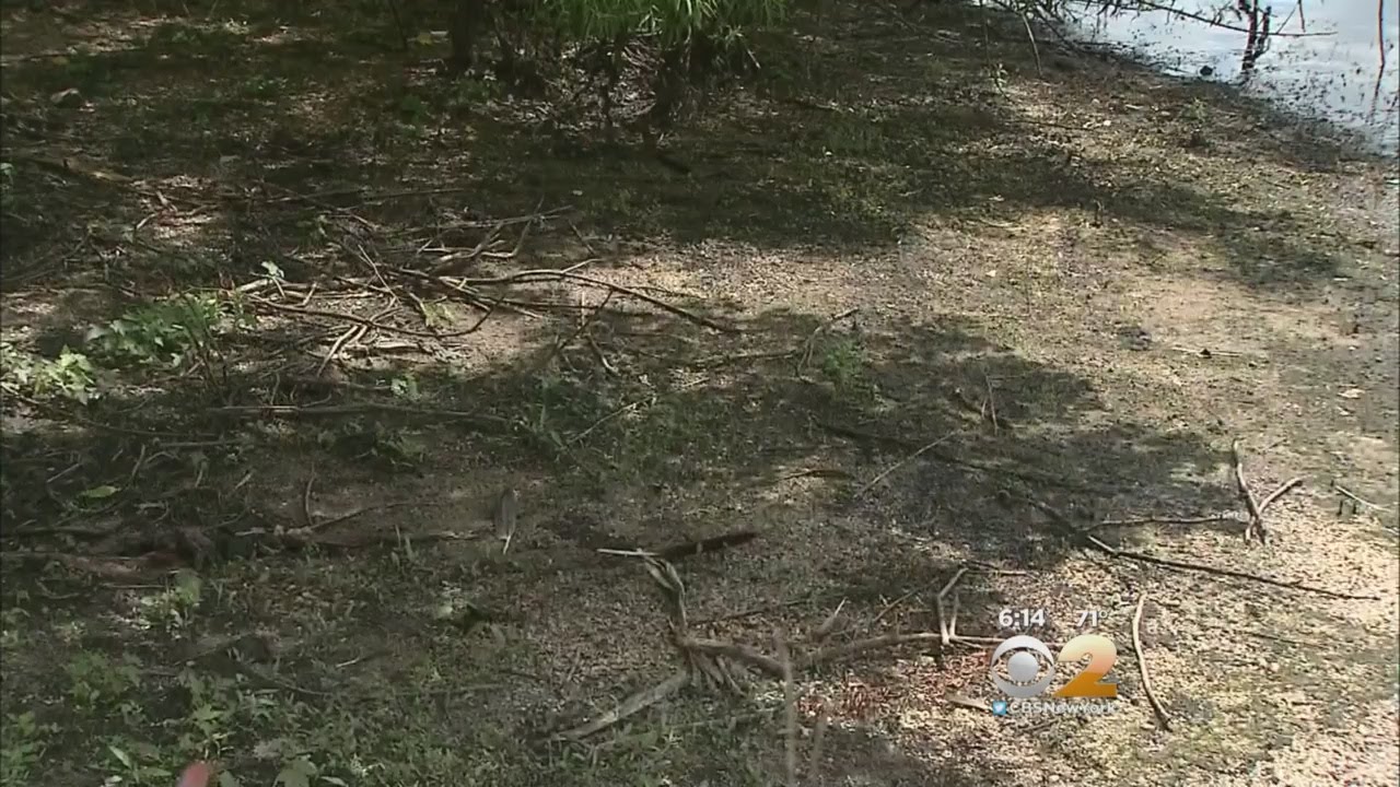 Long Island Residents Concerned With Dried-Up Lake