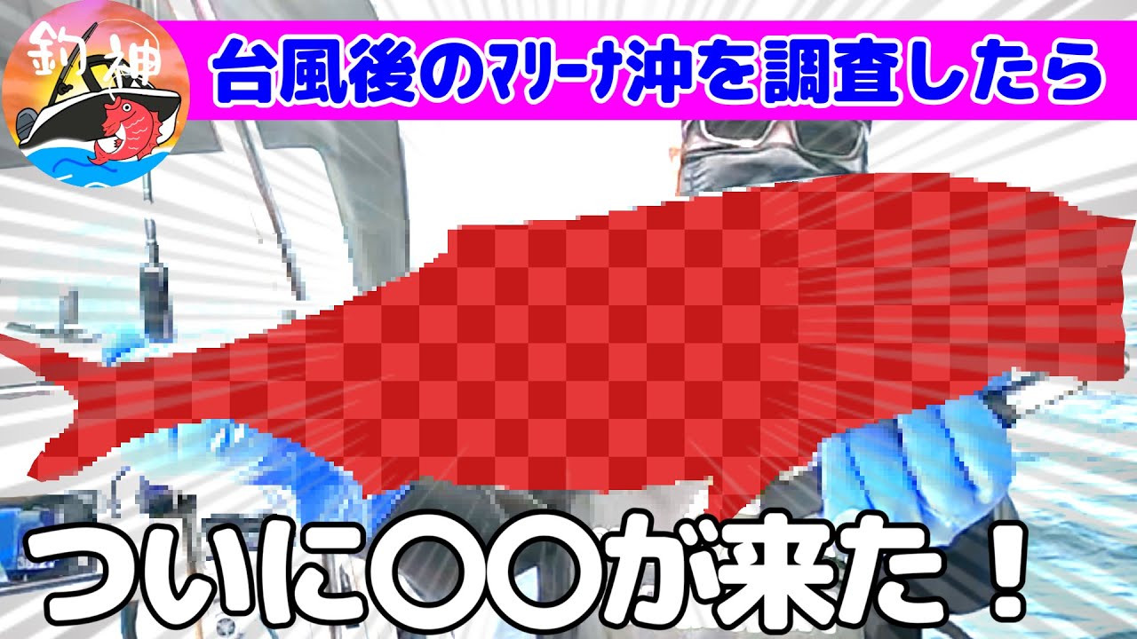 【東京湾】マイボートで浦賀沖で釣りしたら、過去最大の大物釣りあげました！