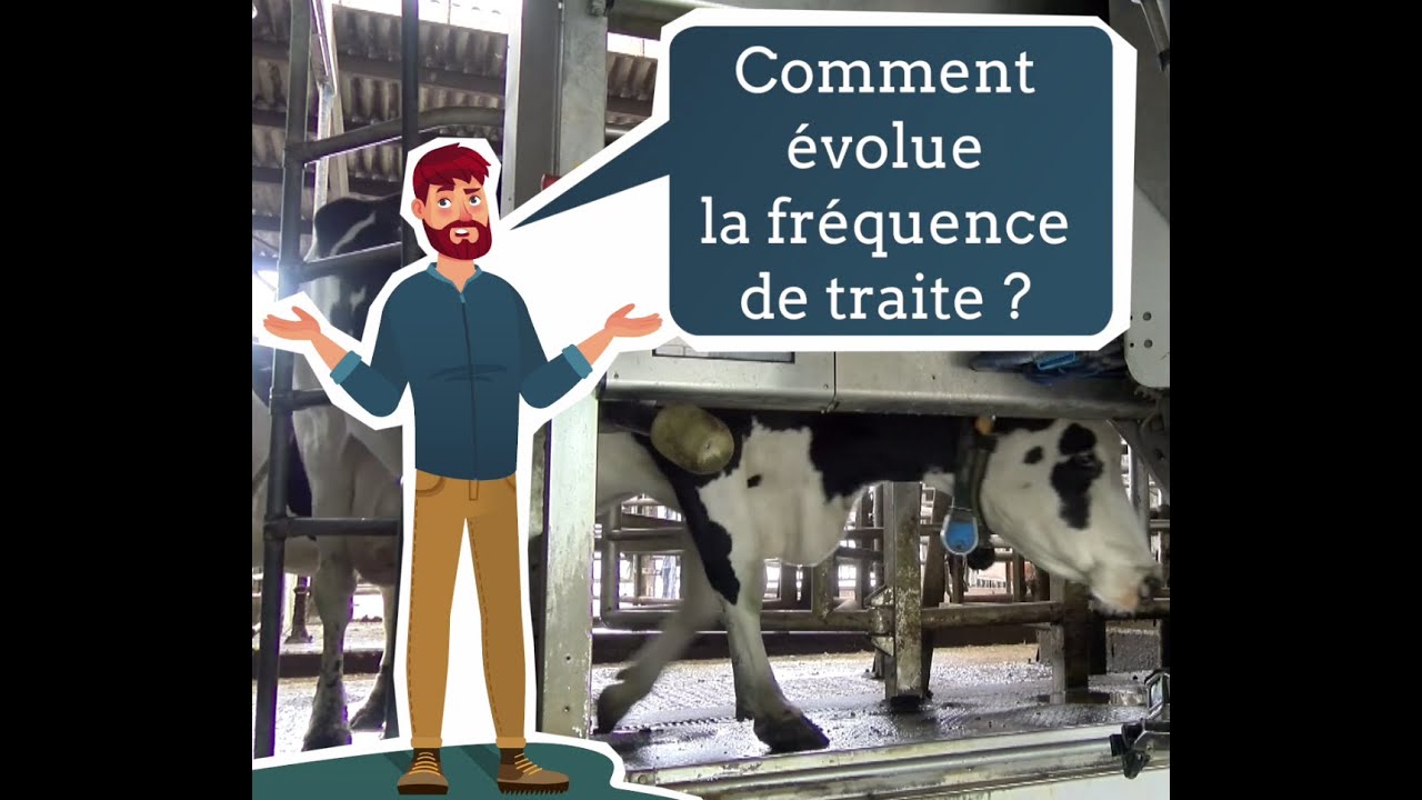 DERVAL: Robot et pâturage