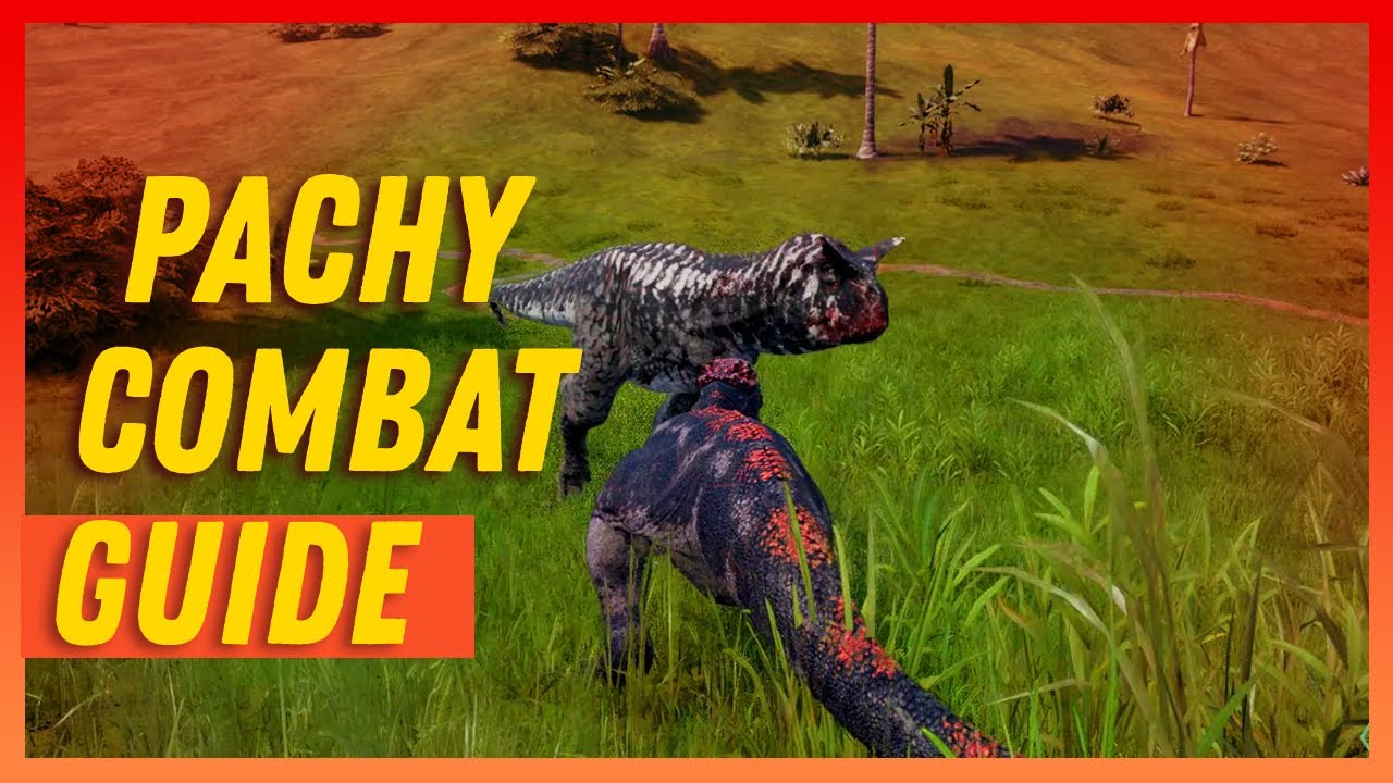 Pachy Combat Guide - Evrima