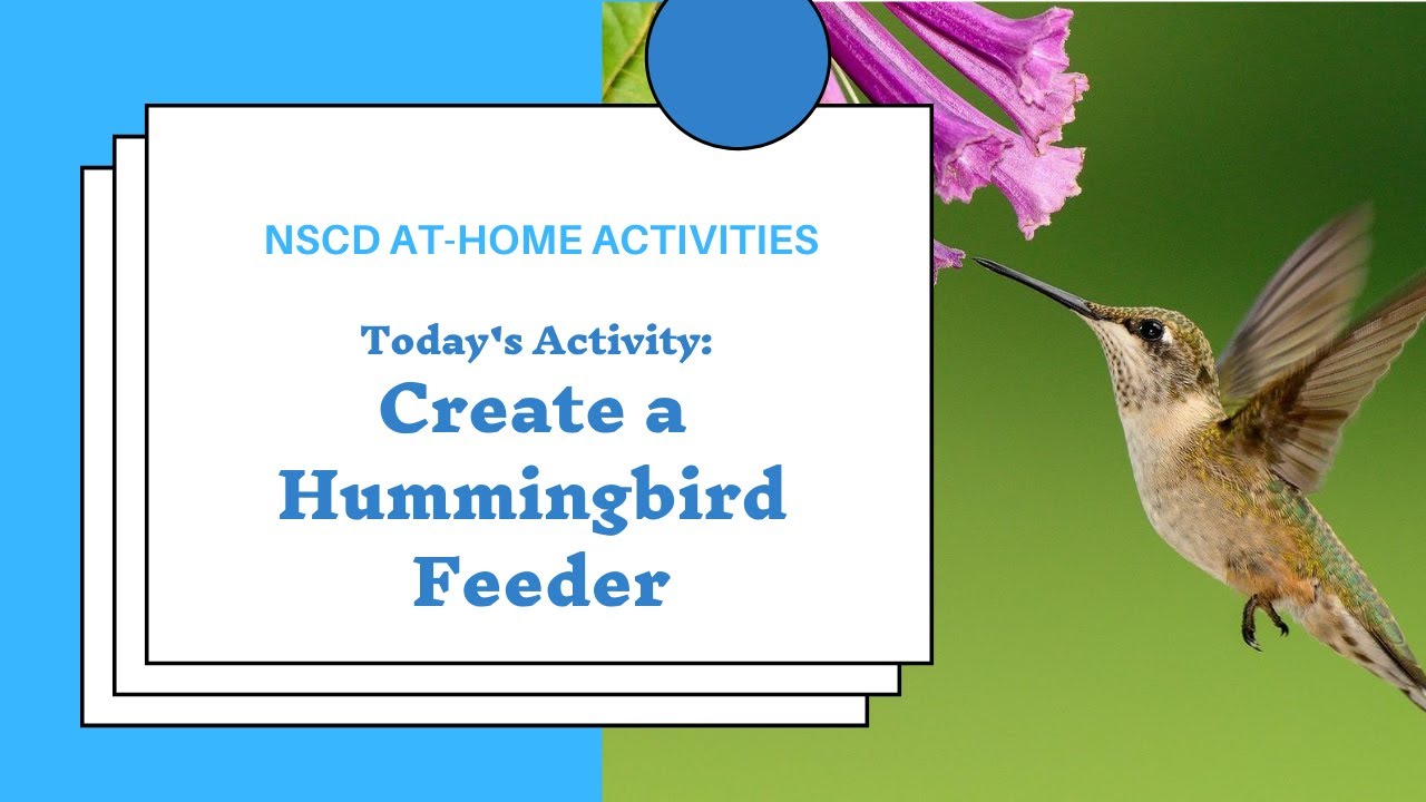 NSCD At Home Activities_Hummingbird Feeders