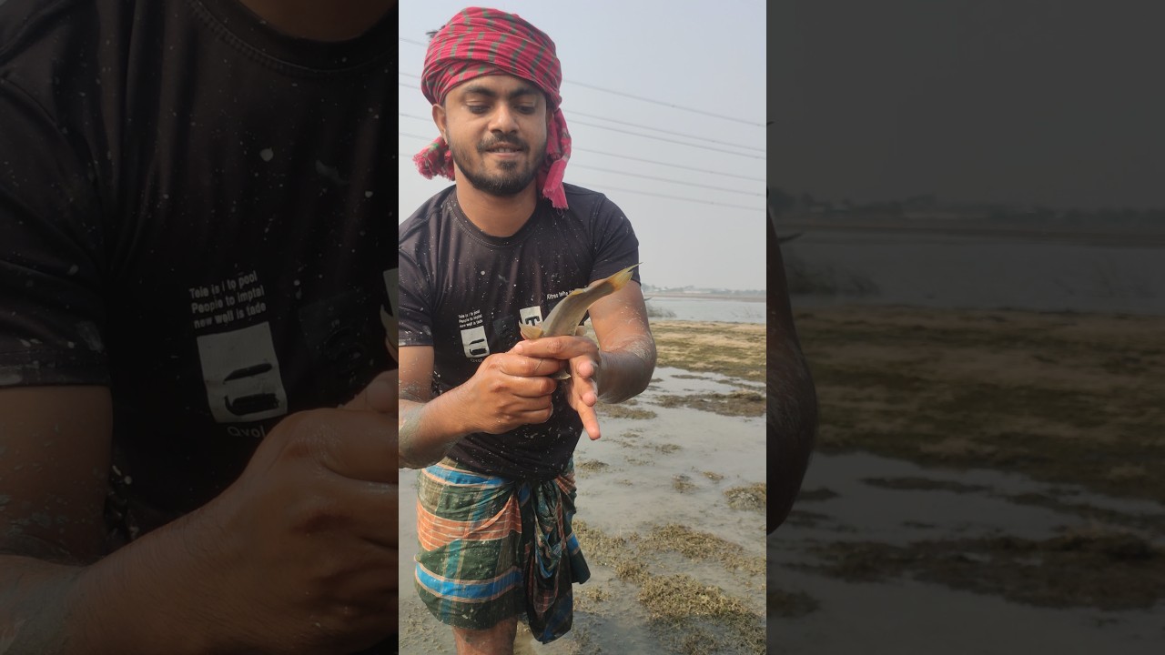 Catching Fish with Bare Hands! 🐟🙌 