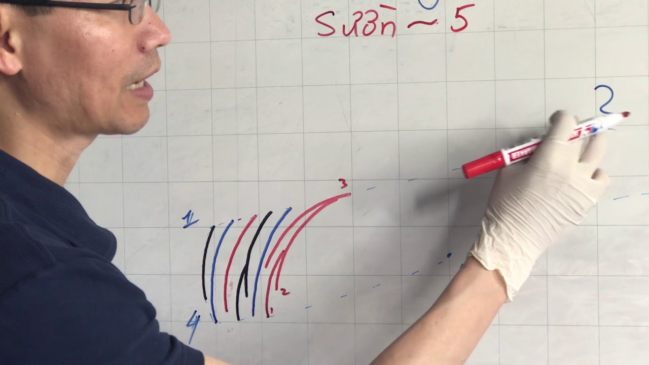 Chân Mày Căn Bản Số 2 (Sườn-3)