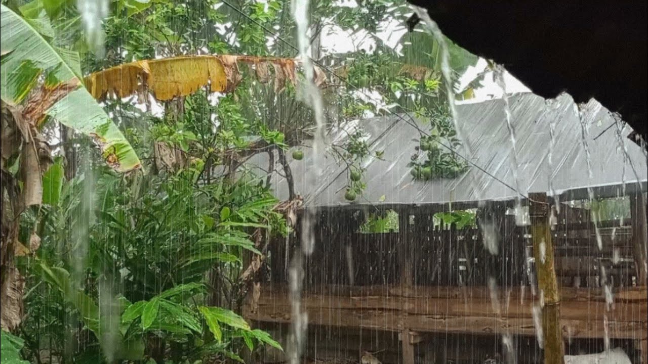 Звуки сильного спокойного дождя 🌧️ Лучший дождь для глубокого сна и расслабления