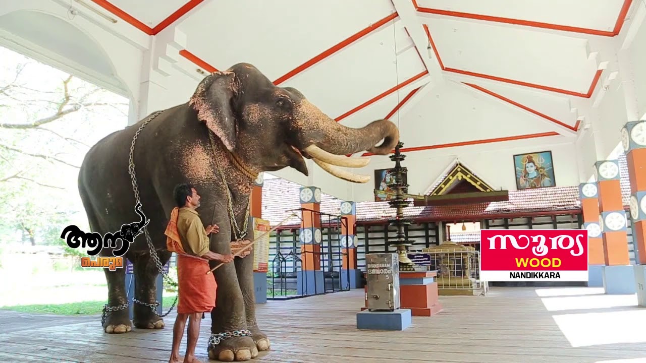 Nannu ezuthachan shakaranarayanan( Aannaperuma epi-39)