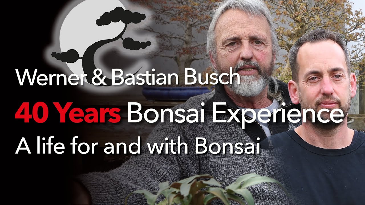 40 Years of real Bonsai - Passion. Generation change in the Bonsaiwerkstatt Busch. English Subtitle